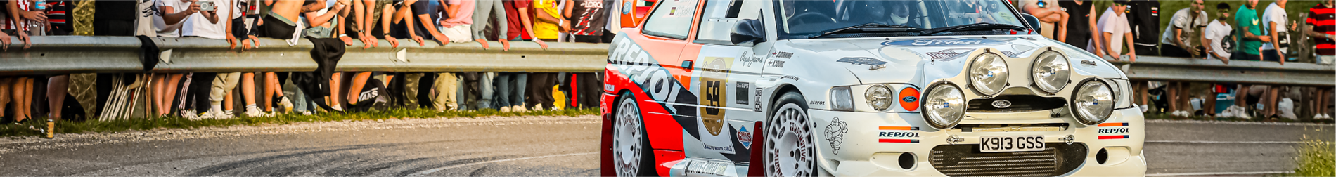 Rally - Race - Vintage Decals