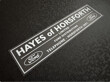 Hayes of horsforth ford dealer sticker 275x65mm AP