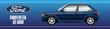 Banner Fiesta RS1800