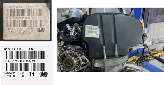 Focus Mk1 RS - Timing Cover Decal