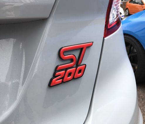 Fiesta Mk7.5 ST200 - Gel Inlay for 200