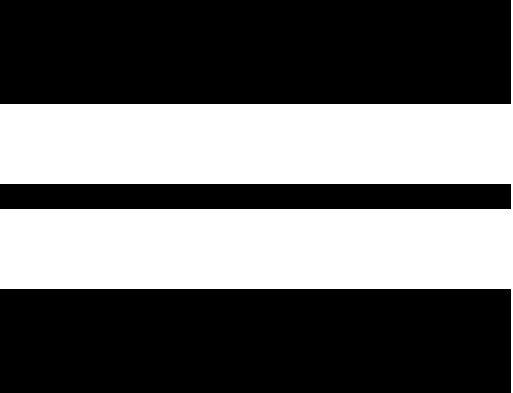 Plain with NO Logo Universal Side Stripe Kit