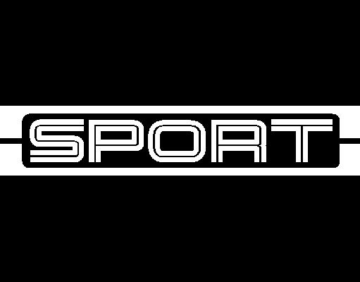 SPORT Logo Universal Side Stripe Kit