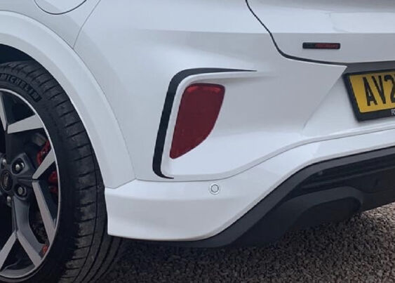 Puma 2020 Body Accent Stripes - REAR - V2