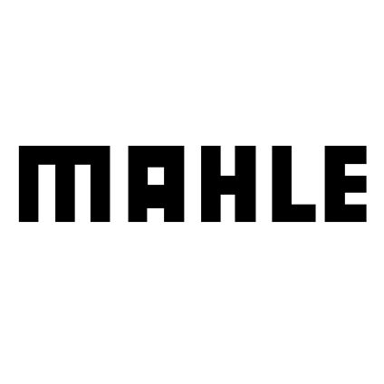Mahle Pistons