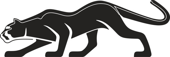 Puma 2020 Cat Decal