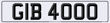 Gib4000