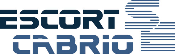 Escort Mk3 Cabrio SE boot decal