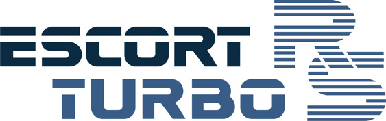 Escort Mk3 RS Turbo Series One tailgate decal