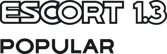 Escort Mk4 1.3 Popular Tailgate Decal