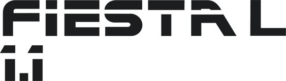 Fiesta Mk2 1.1L Tailgate Decal