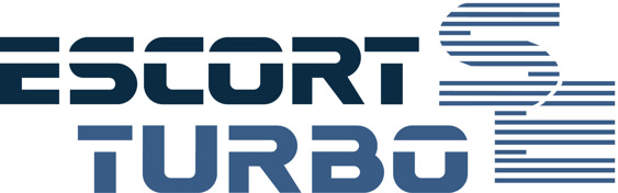 Escort Mk3 Turbo SE boot decal