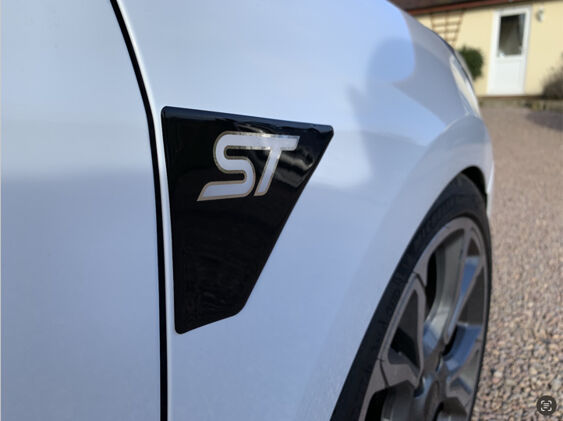 Fiesta Mk8 ST Wing GEL Badges - PAIR