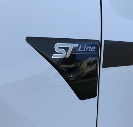 Fiesta Mk8 ST Line Wing GEL Badges - PAIR